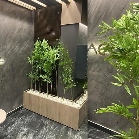 Golden Pine Lux 兹拉蒂博尔